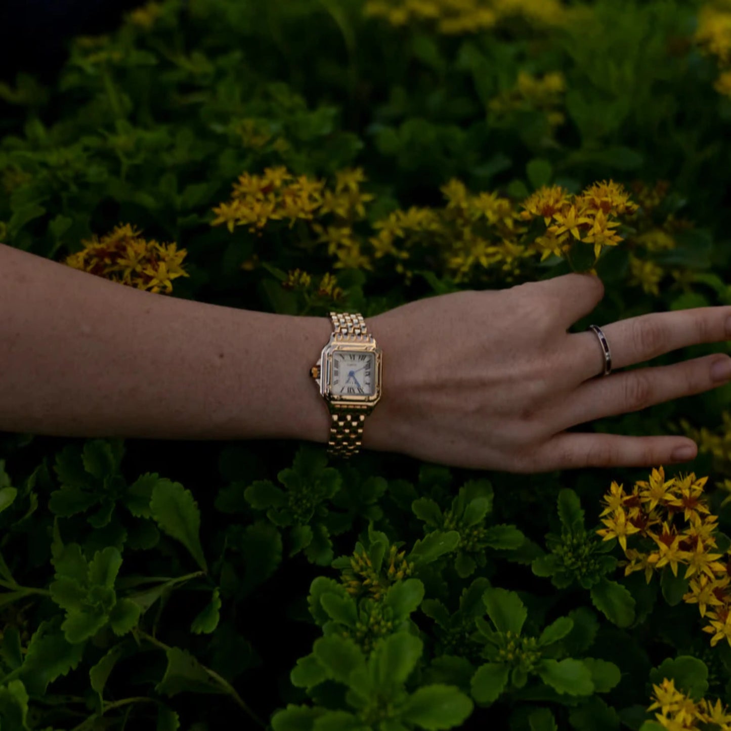 Pilleto Poedagar® Ivoire